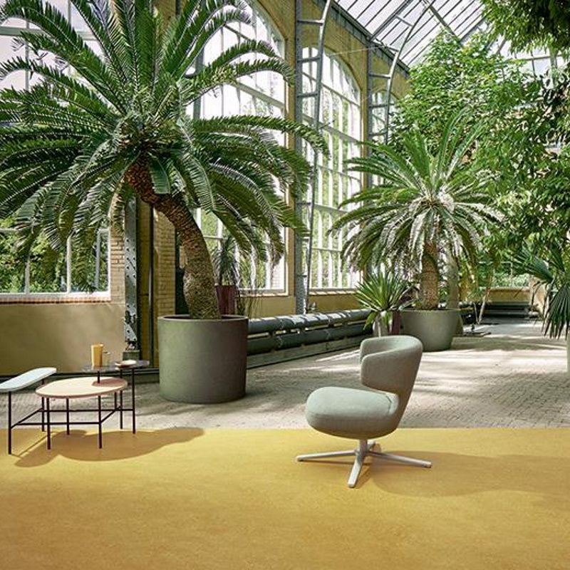 Marmoleum_Fresco-3259_mustard_1