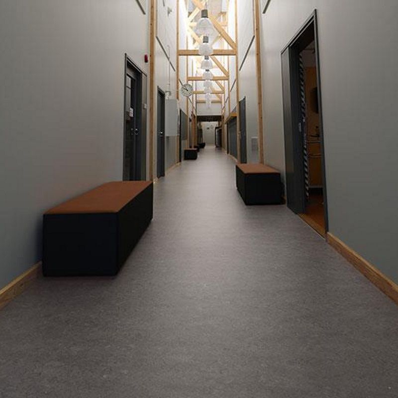 Marmoleum_Real-2629_eiger_1