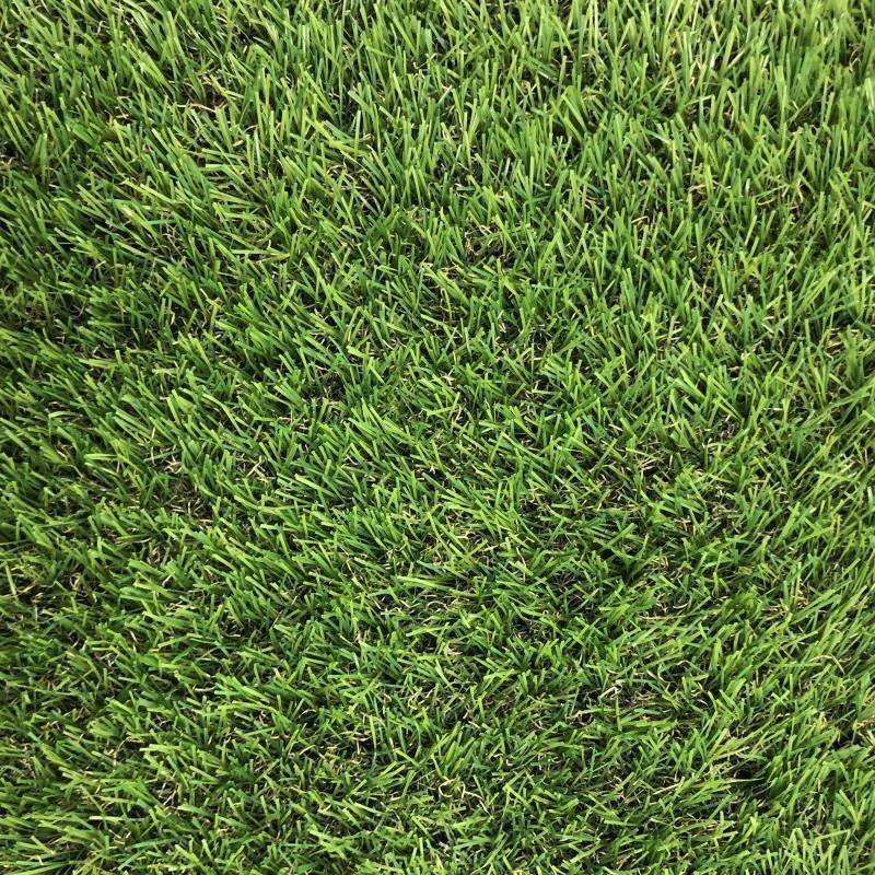 CCGrass Cam 28_1