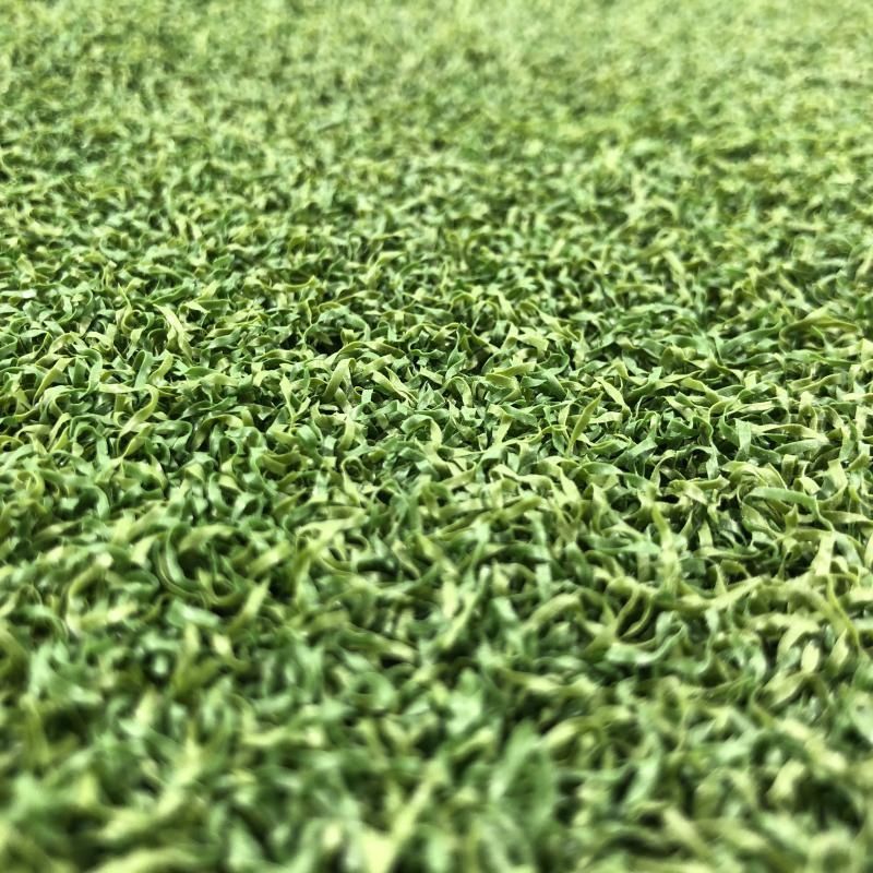 CCGrass Green E 12_1