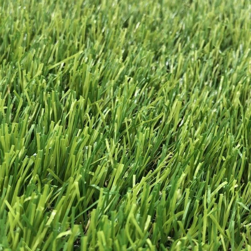 CCGrass Lissome 45_2