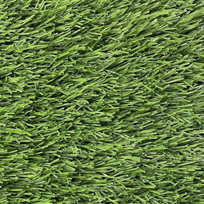 CCGrass Stemgrass_1