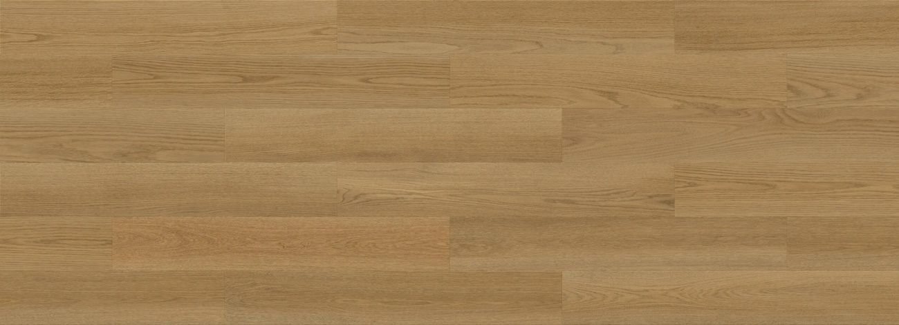 DP3000011_1