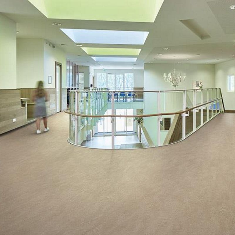 Marmoleum_Fresco-3252_sparrow_1