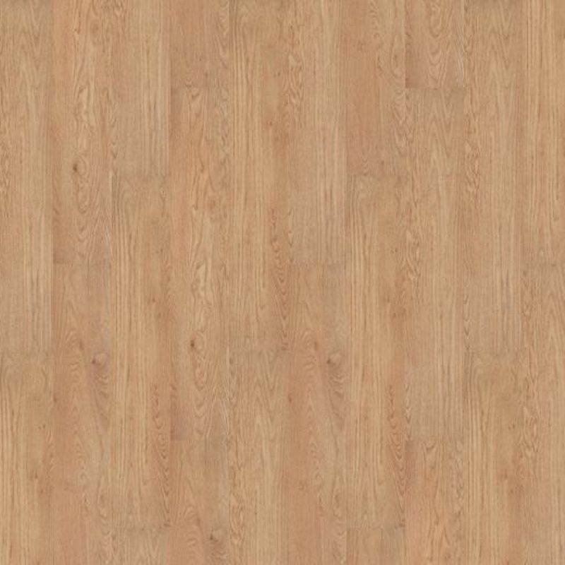 60065CL5_1