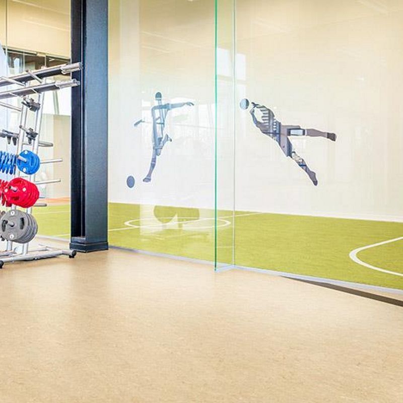 Marmoleum_Sport_83878_1