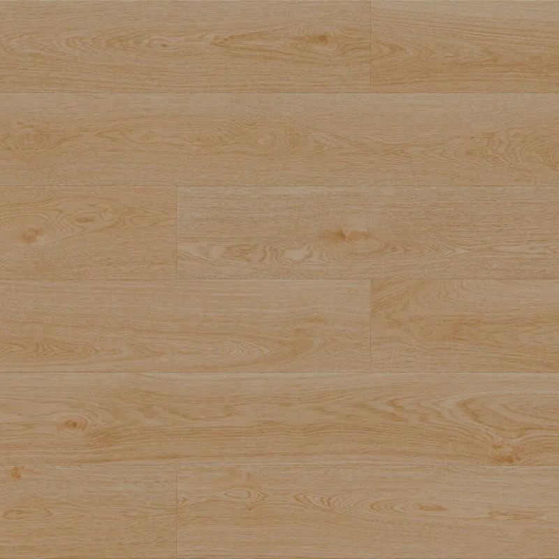 DP3000013