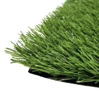 CCGrass Stemgrass
