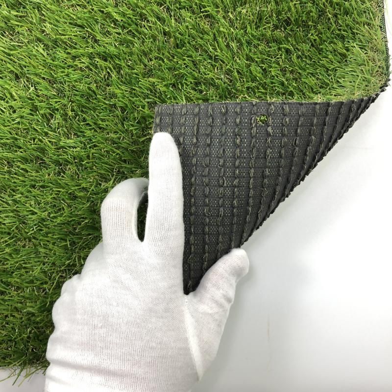CCGrass Cam 28_3