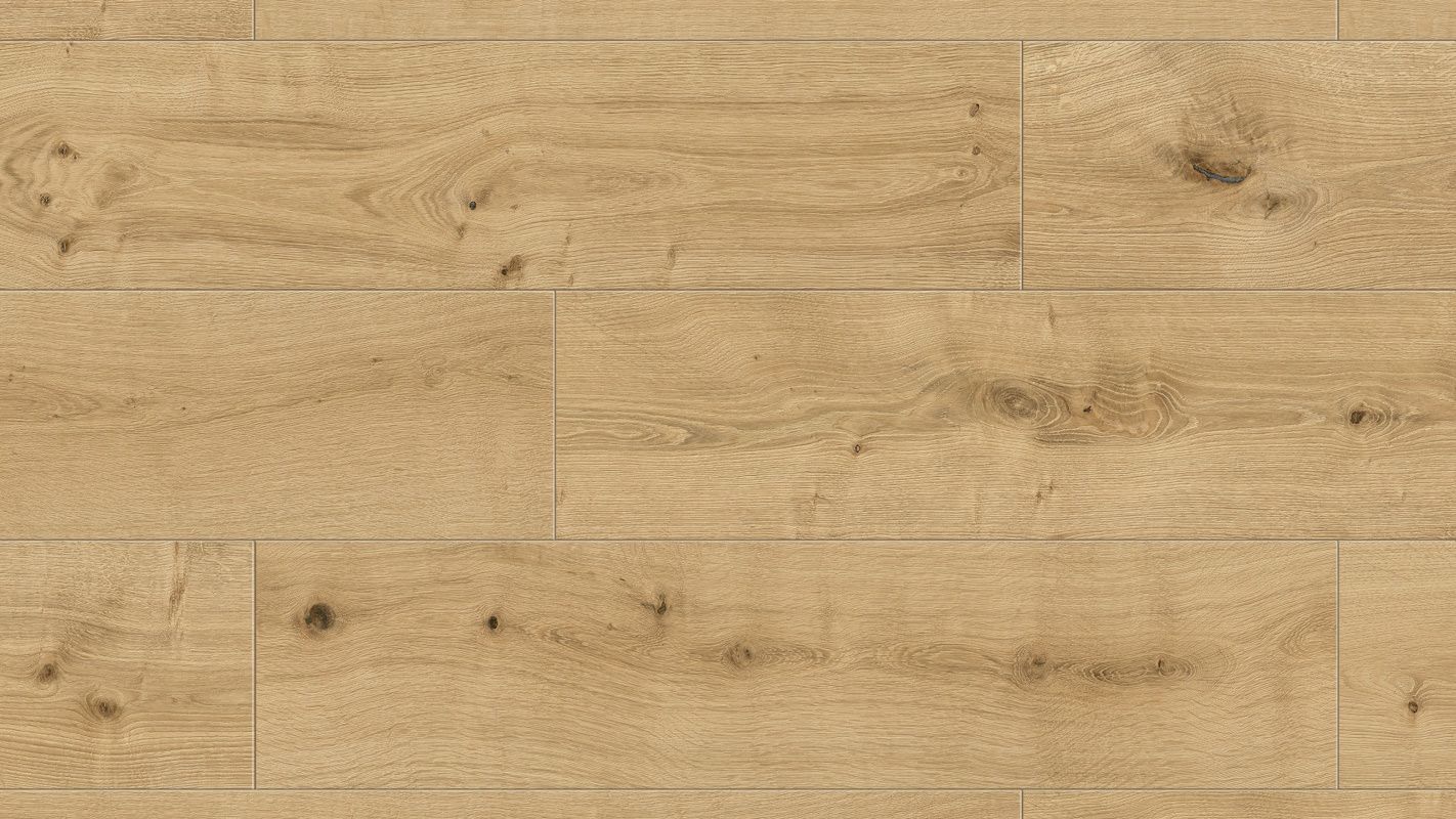 R281_3