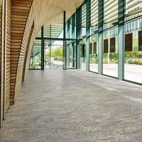 Marmoleum_Vivace_-3420_surprising_storm_1