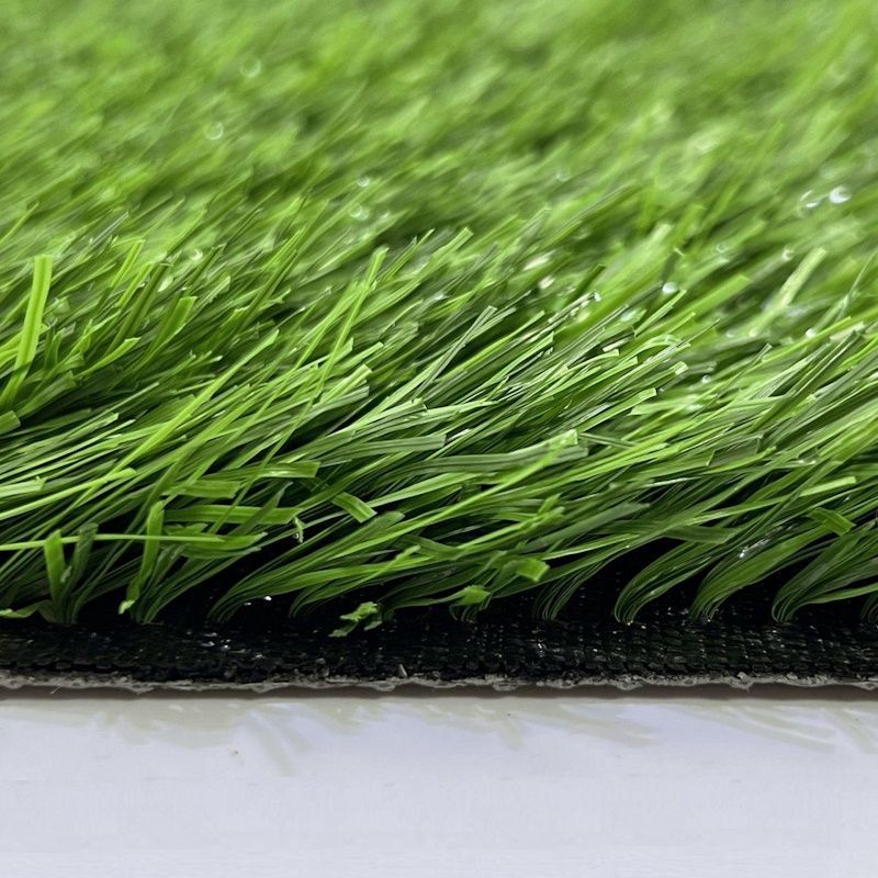 CCGrass Stemgrass_2