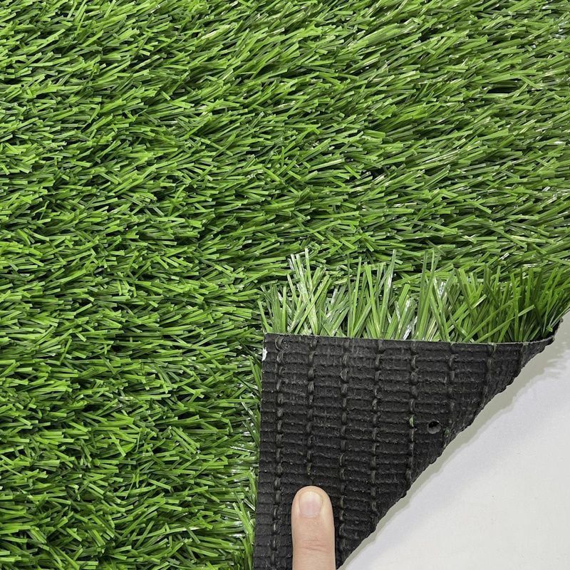 CCGrass Stemgrass_5