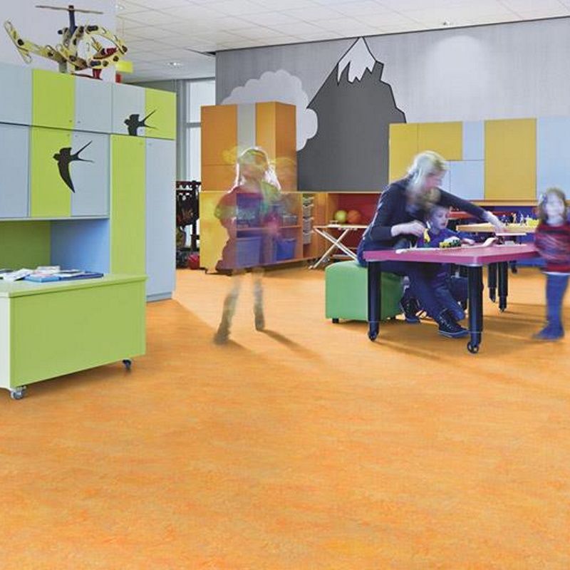 Marmoleum_Vivace_-3411_sunny_day_1