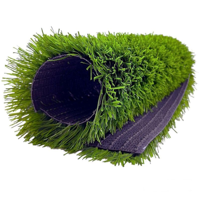 CCGrass Stemgrass_4