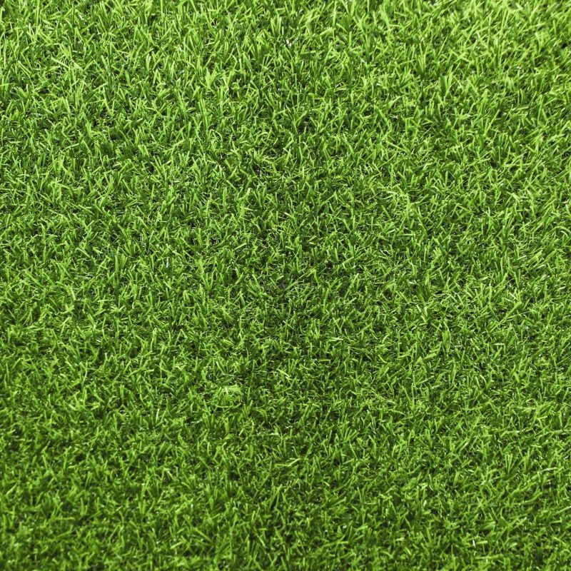 ecoGrass SD-20_3