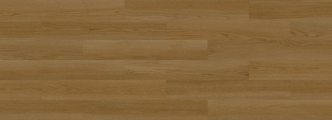 DP3000019_1