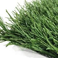 ecoGrass Football 40
