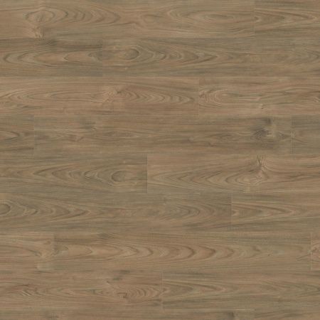 Ламінат Haro Tritty 100 В'яз Варіо 544720 фото в інтернет-магазині 1Floor