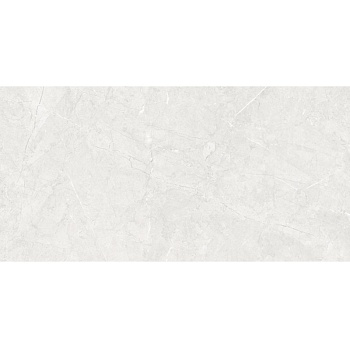 Плитка Універсальна Inter Gres Reliable Світло-Сіра 60x120 см 1206003071