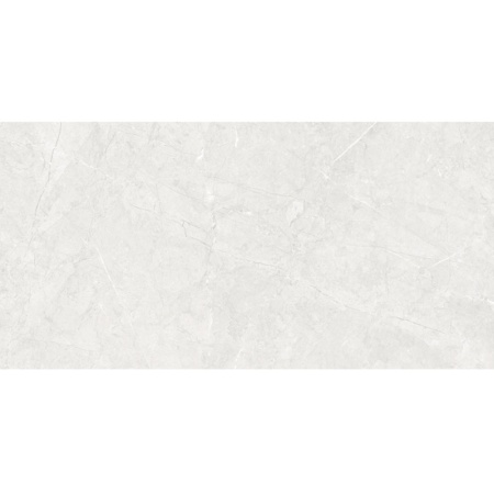 Плитка Універсальна Inter Gres Reliable Світло-Сіра 60x120 см 1206003071