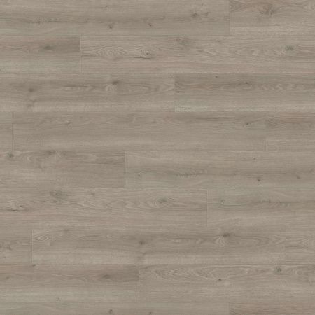 Ламінат Haro Tritty 100 Дуб Флавія Сірий 544702 фото в інтернет-магазині 1Floor