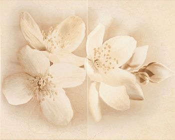Плитка Настінна Cersanit Diana Декор Flower 50x40 см WD797-002