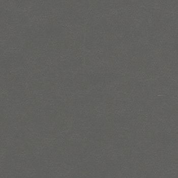 Лінолеум Натуральний Forbo Marmoleum Solid Walton