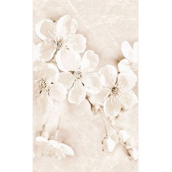 Плитка Настінна Cersanit Sofi Декор Inserto Flower 25x40 см WD537-004