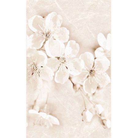 Плитка Настінна Cersanit Sofi Декор Inserto Flower 25x40 см WD537-004