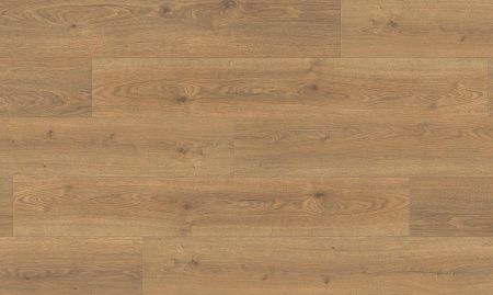 Ламінат Haro Tritty 100 Дуб Флавія Натур 544708 фото в інтернет-магазині 1Floor